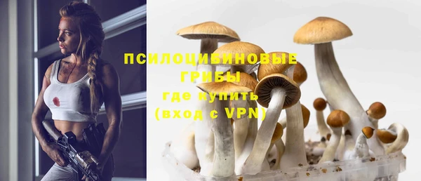 mix Верхний Тагил