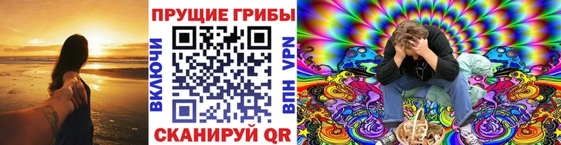 блэк спрут ONION  Гдов  Галлюциногенные грибы мицелий 